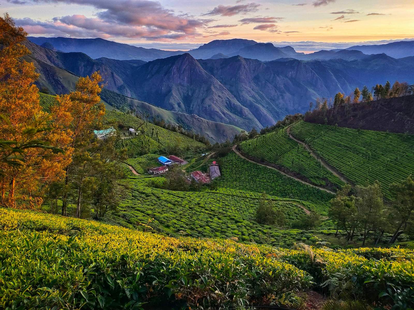 Kerala Munnar, Thekkady & Alleppey