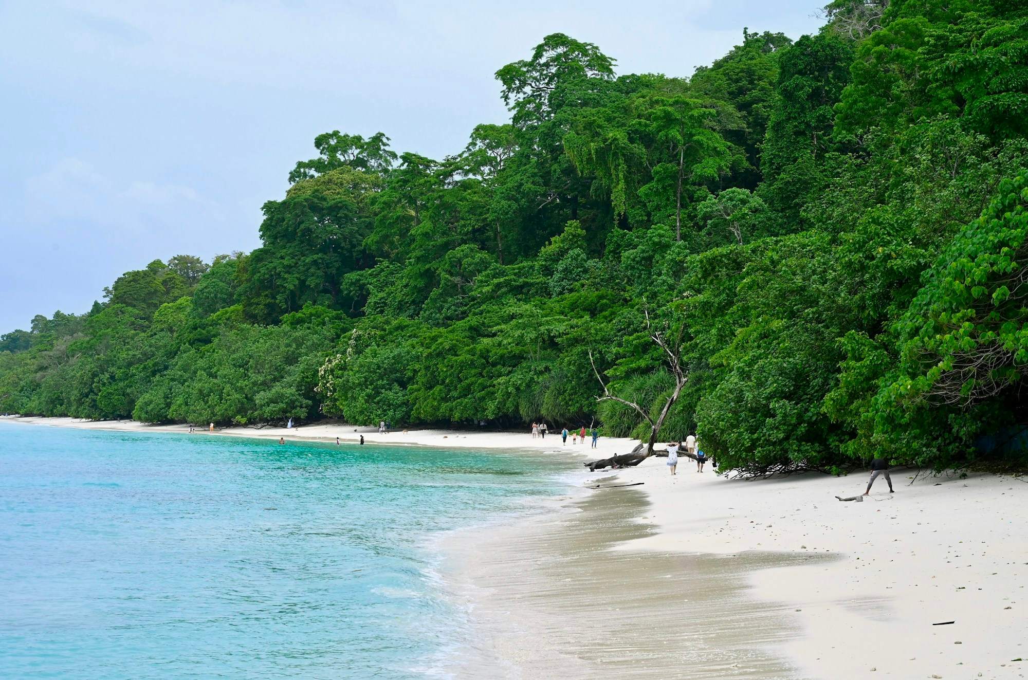 Andaman Islands Highlights - Port Blair, Havelock & Neil Island