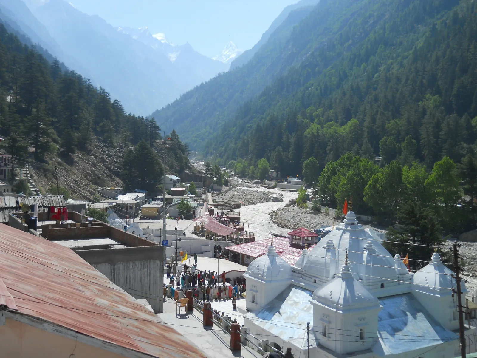 Gangotri town and temple in a forested valley where pilgrims walk toward the shrine