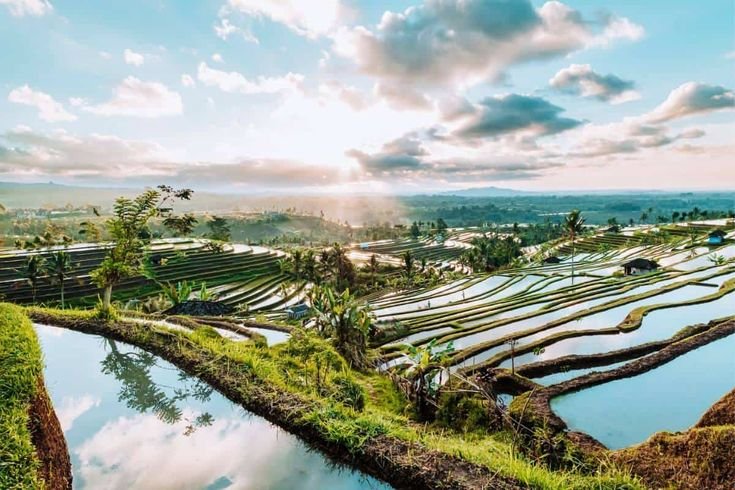 Bali Holiday Package – 4N5D