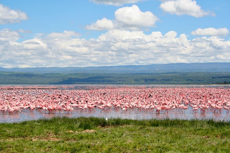 Nairobi, Maasai Mara, Lake Nakuru