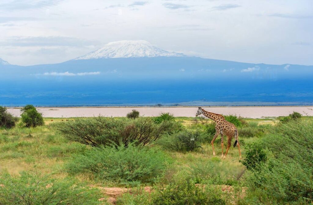 Amboseli National Park