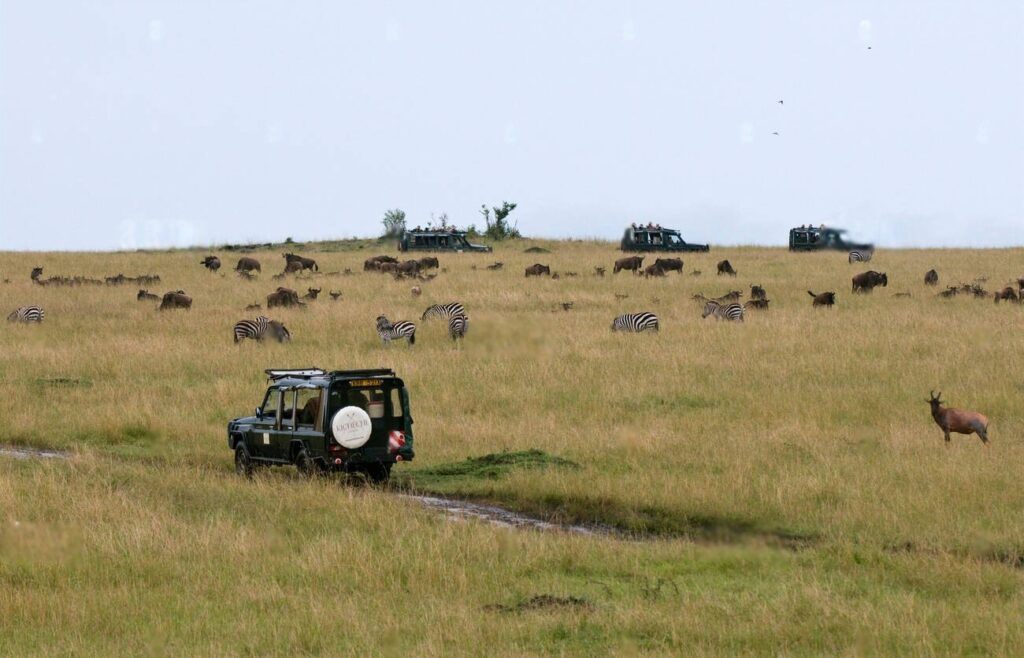 Maasai Mara National reserve