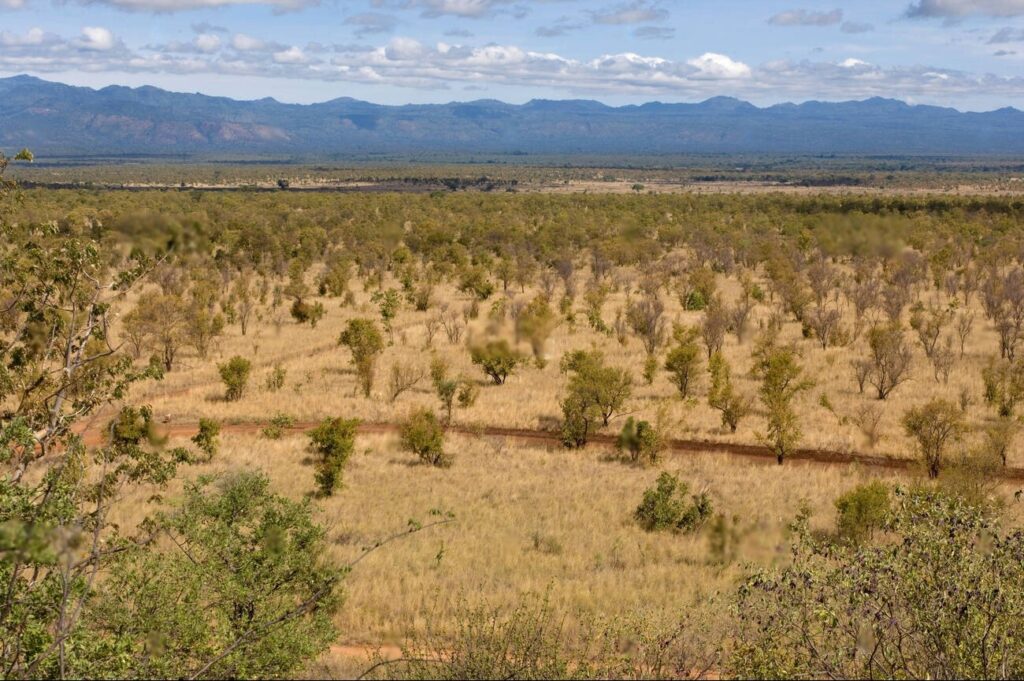 Meru National Park