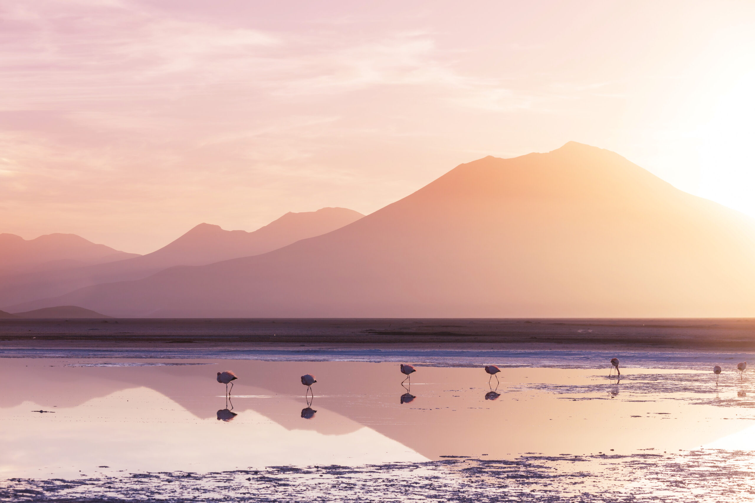 Tarangire National Park and Lake Natron Tour