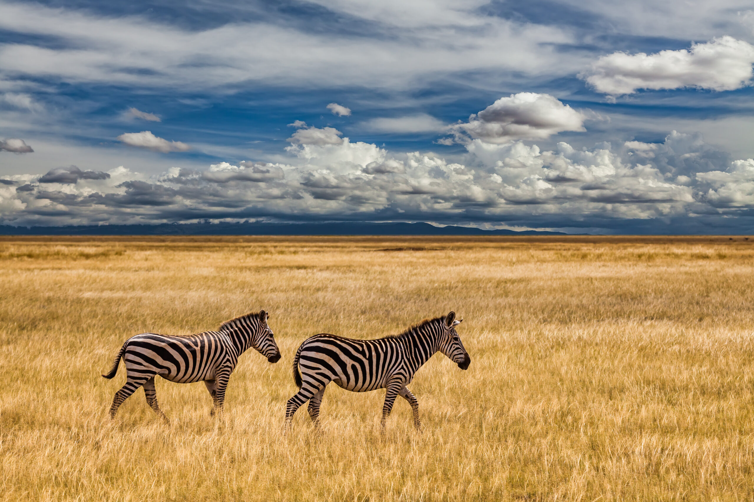 10 Things to do in Tanzania