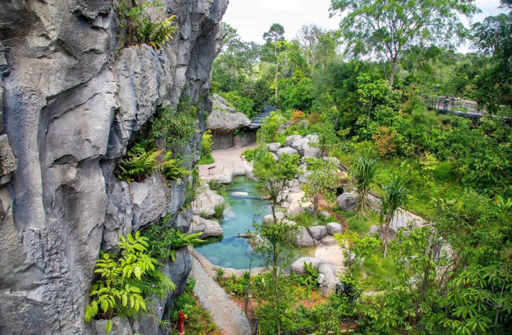 Rainforest Wild Asia