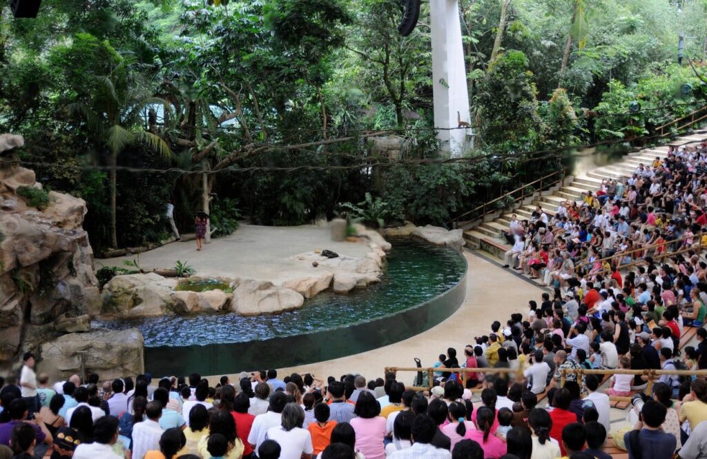 Singapore zoo show, sea lion show