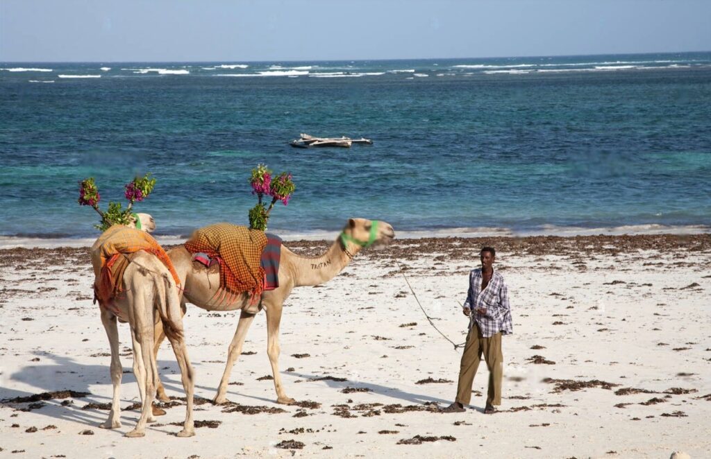 Traders in Diani Beach