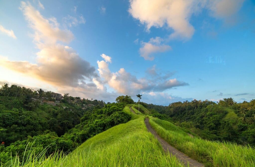 Campuhan Ridge Bali