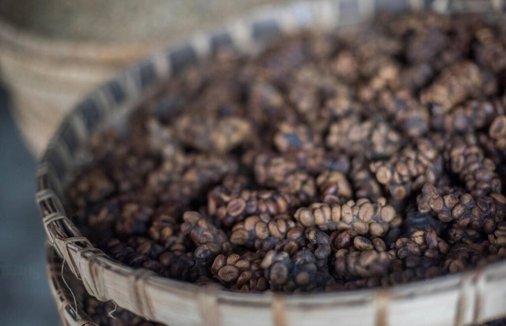 Luwak coffee