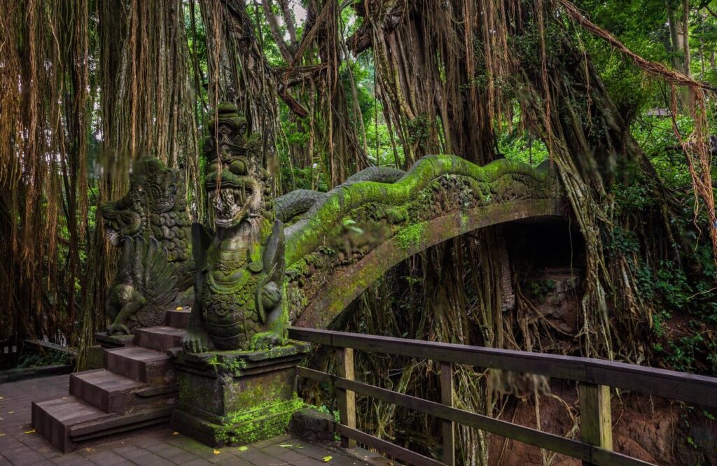 Monkey Forest sanctuary in ubud bali