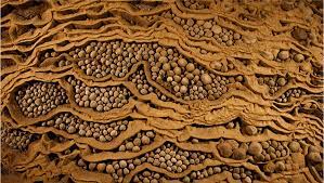 CAve Pearls in Son Doong Cave