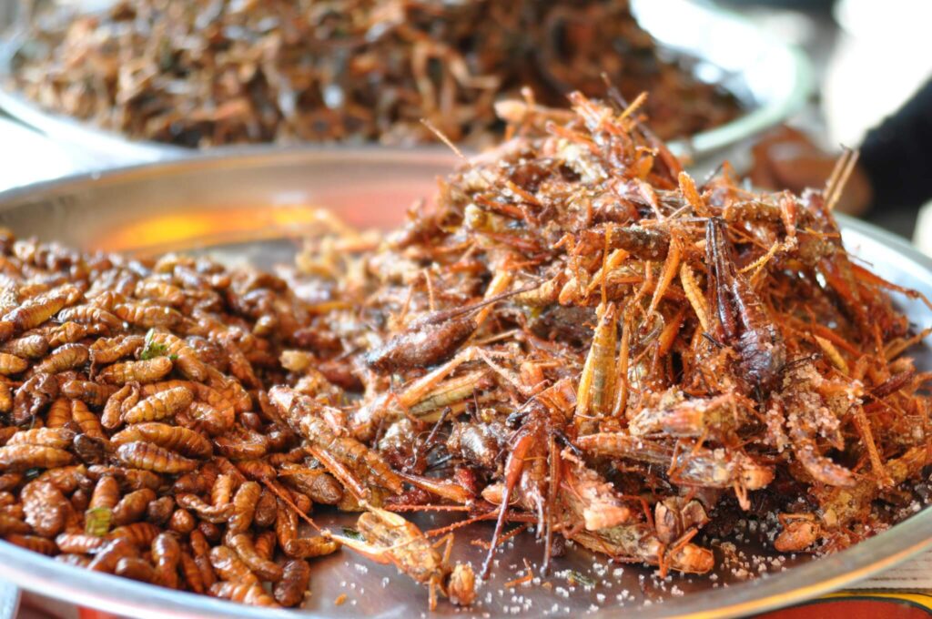 Creepy crawlies cuisine in china