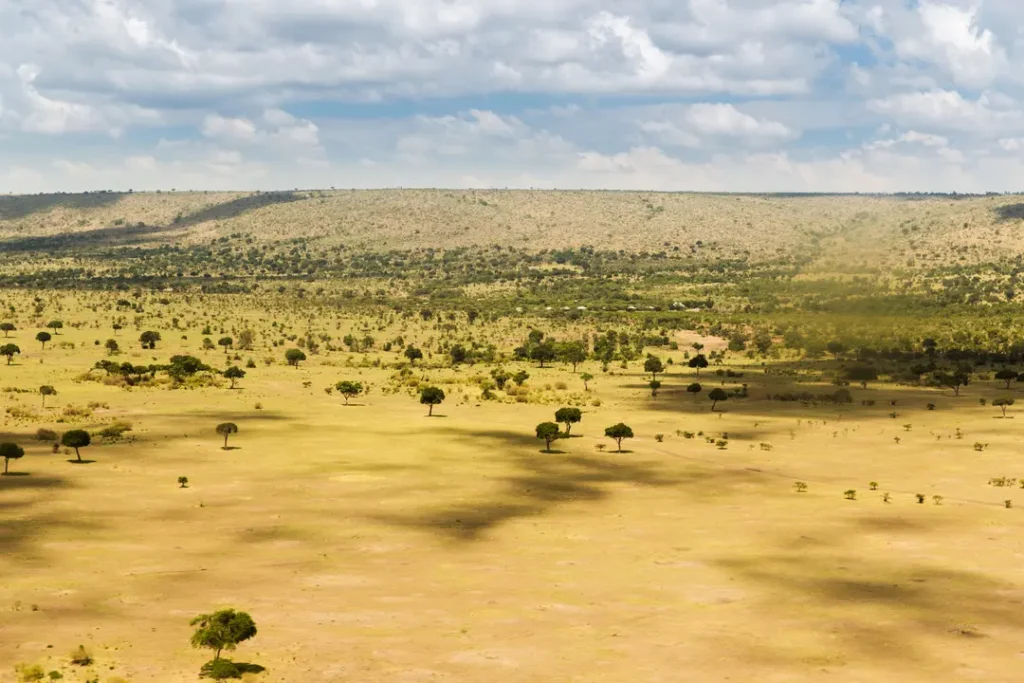 Plain of Maasai Mara