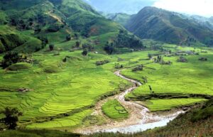 Sapa
