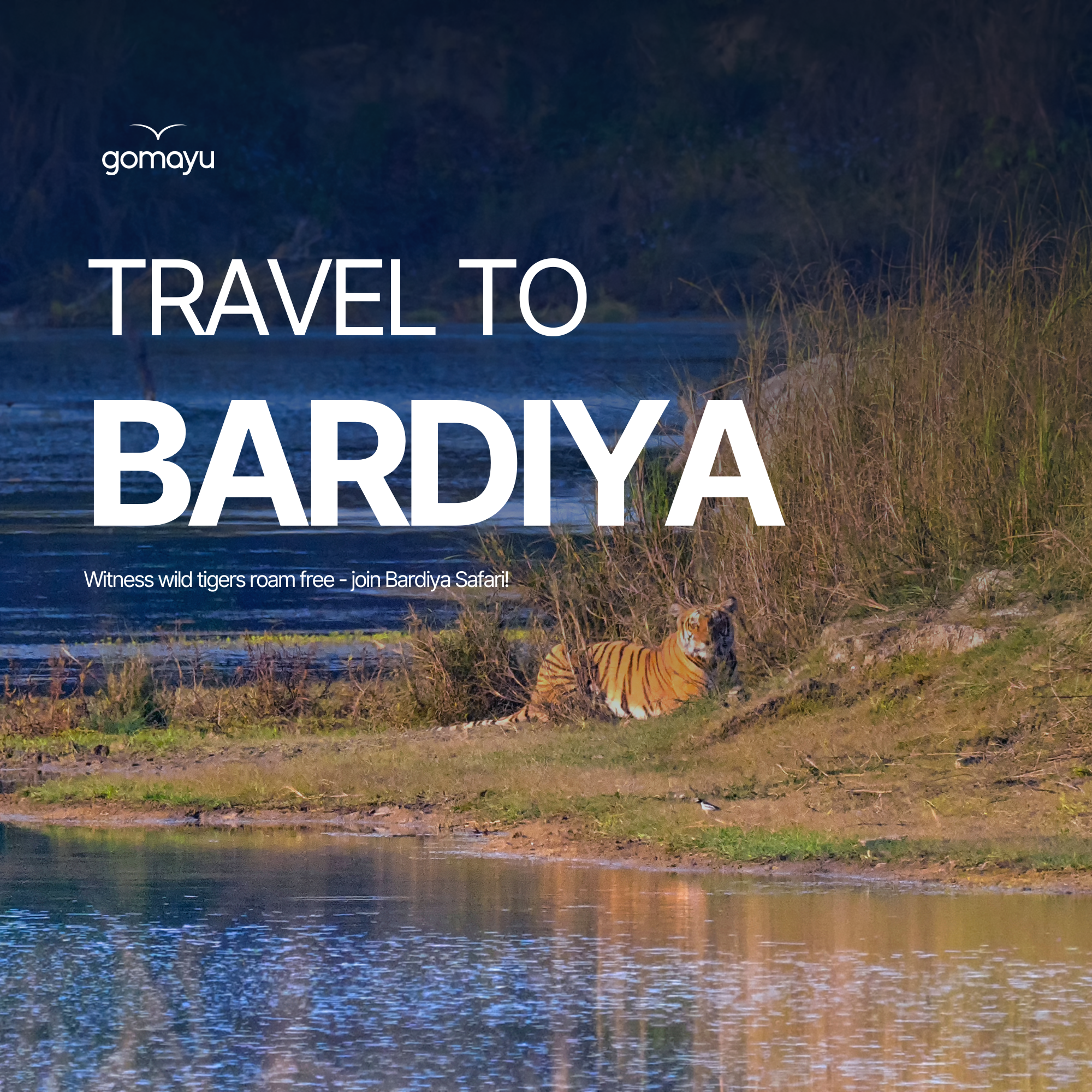 Bardiya Mobile