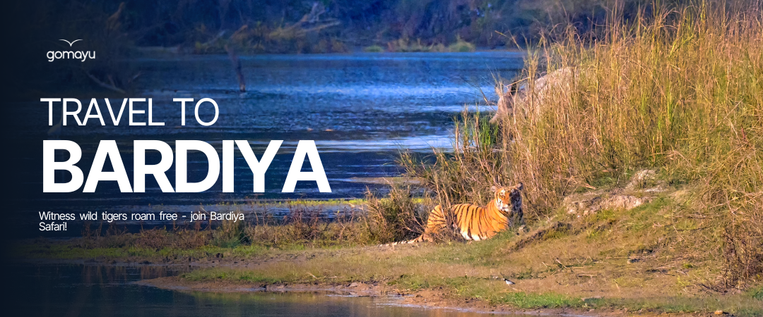 Bardiya desktop