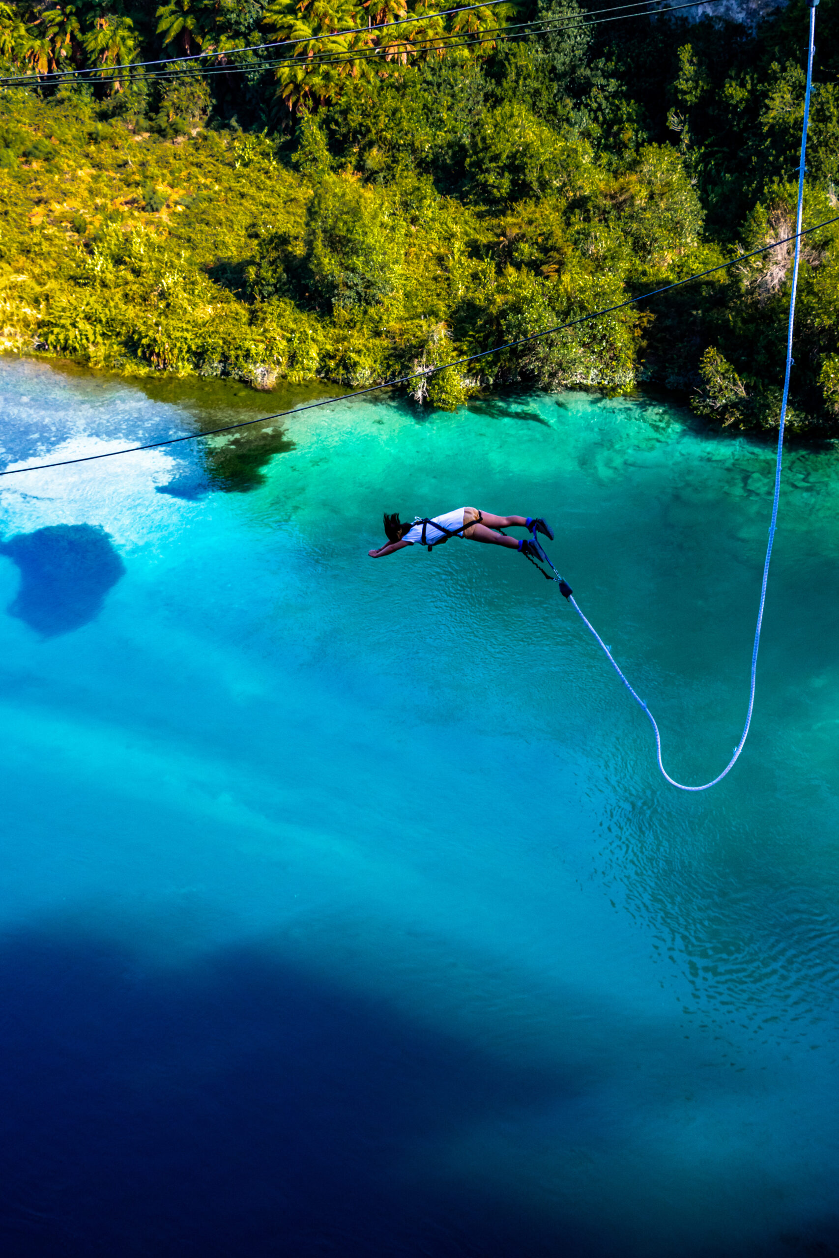 Wild & lifetime adventure of Chitwan and Pokhara – 6 Days 6