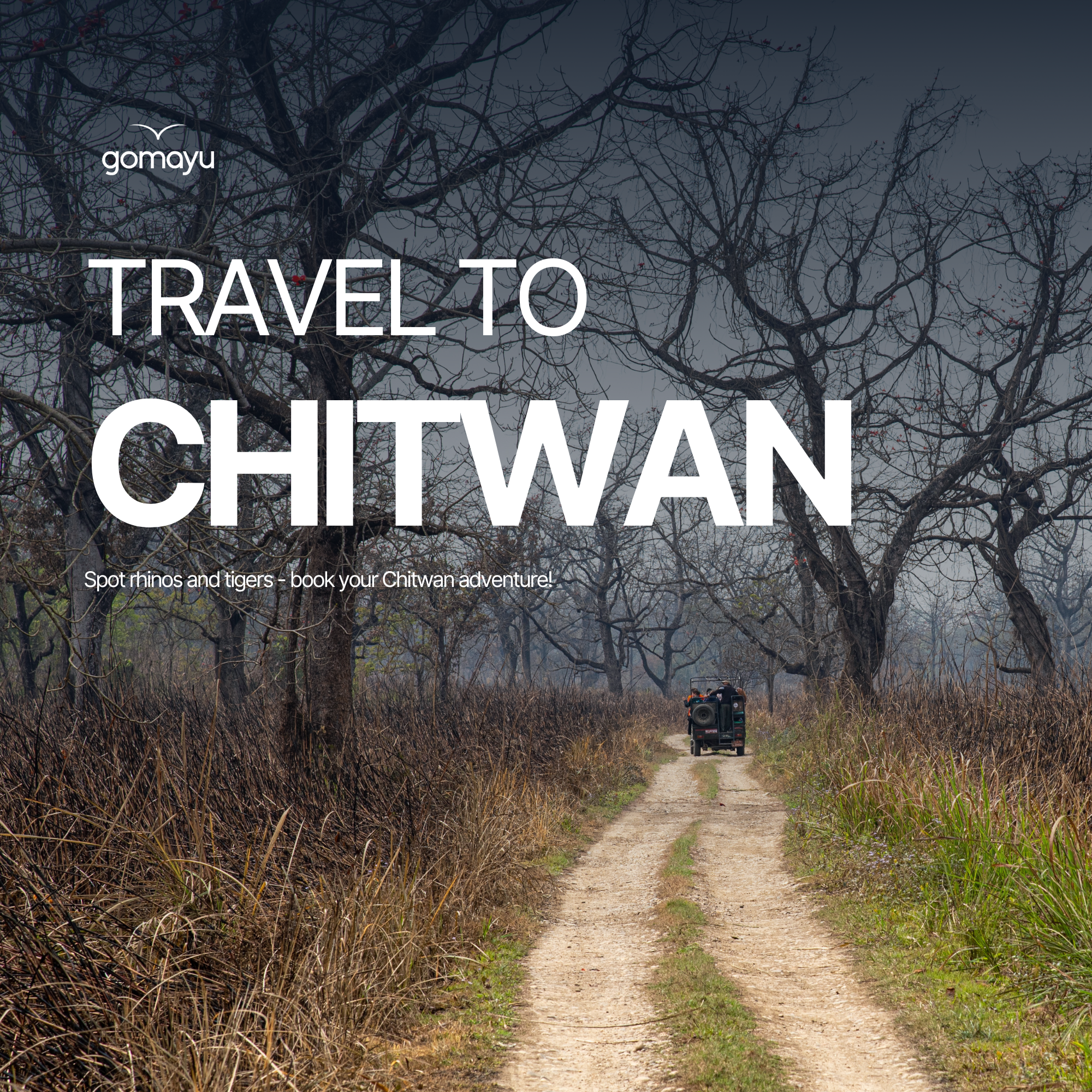 Chitwan Mobile