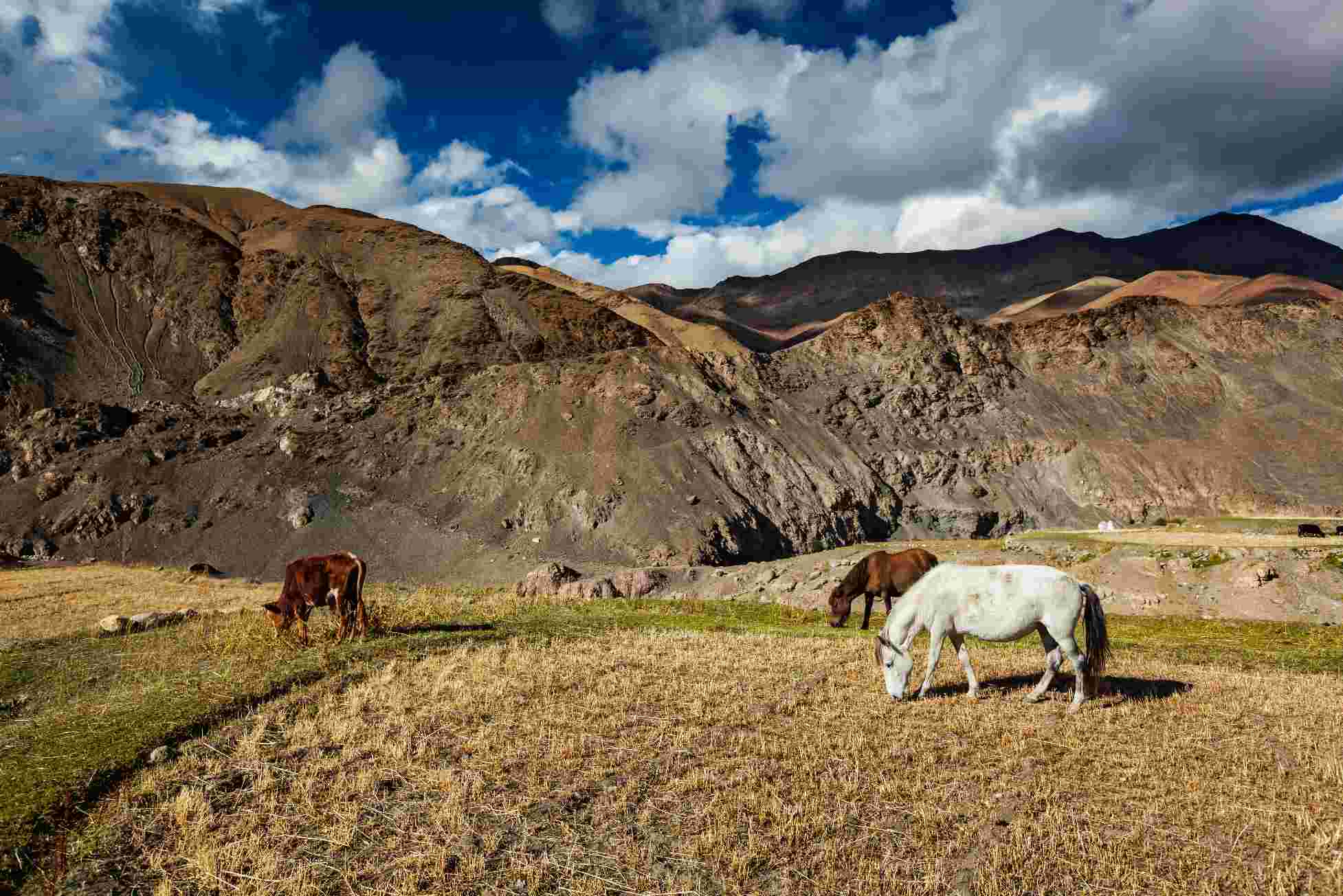 Upper Mustang Flight & Drive Tour – 6 Days 4