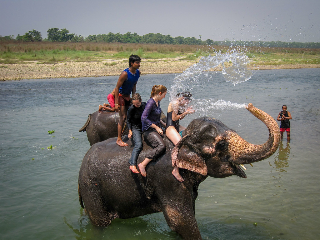 Chitwan Jungle Adventure – 4 Days 7