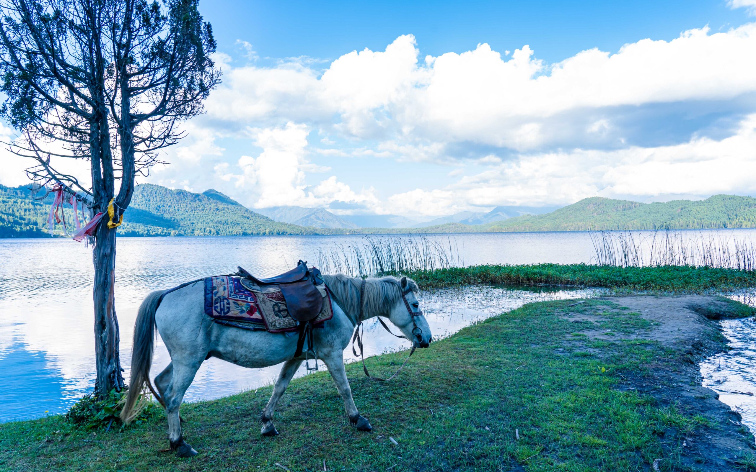 Rara Scenic Tour by Flight & Road – 7 Days 2