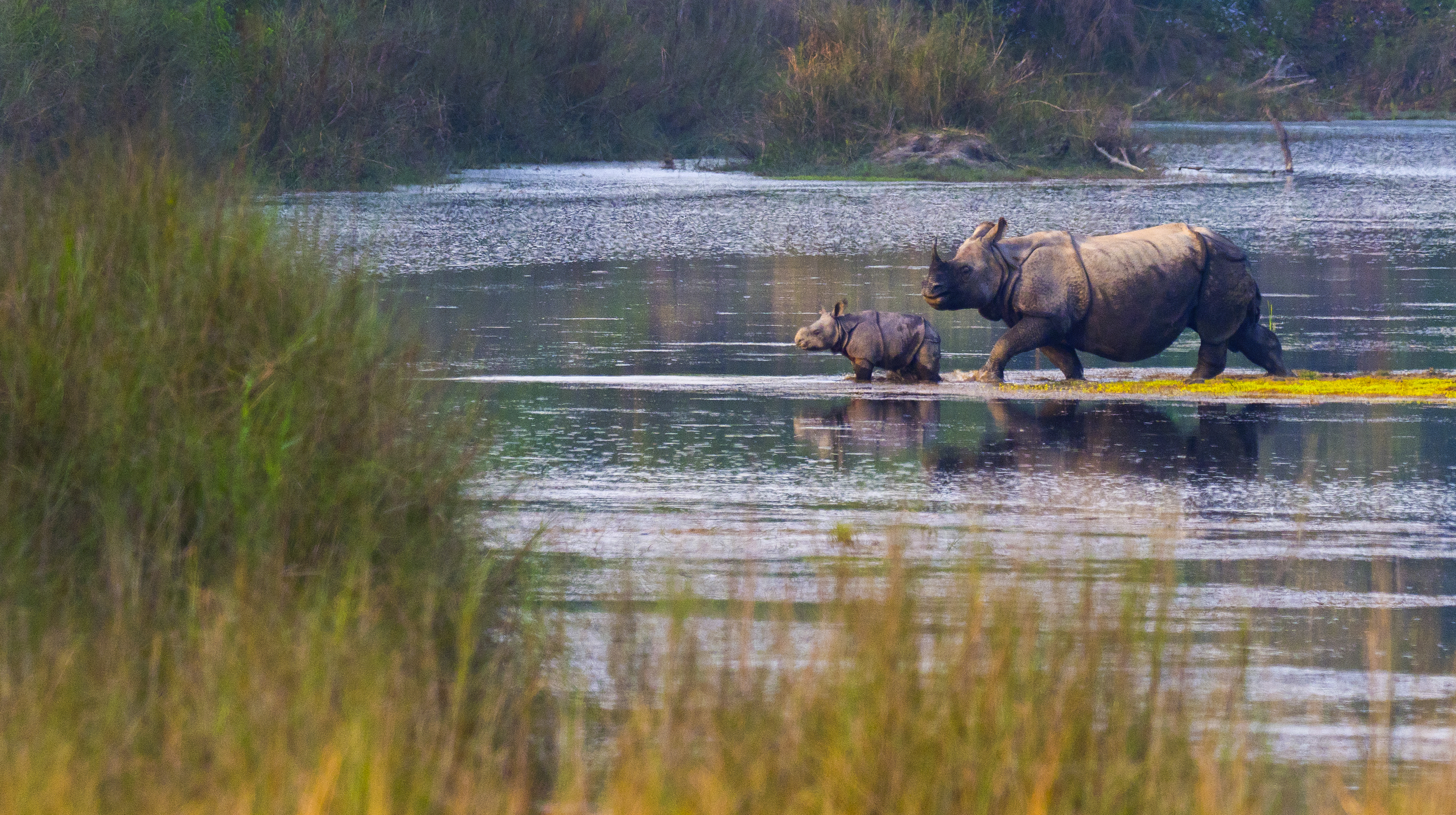 Bardiya Wilderness & Riverside Escape – 4 Days 1