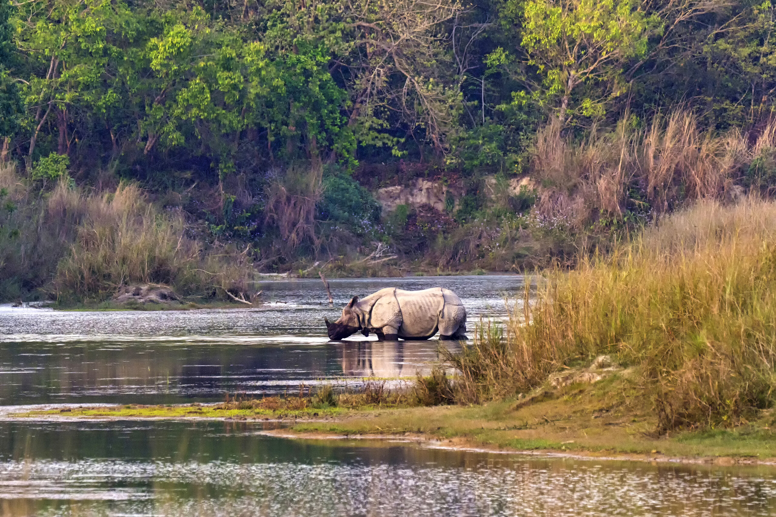 Into the Wild – Chitwan Jungle Stay – 3 Days 1