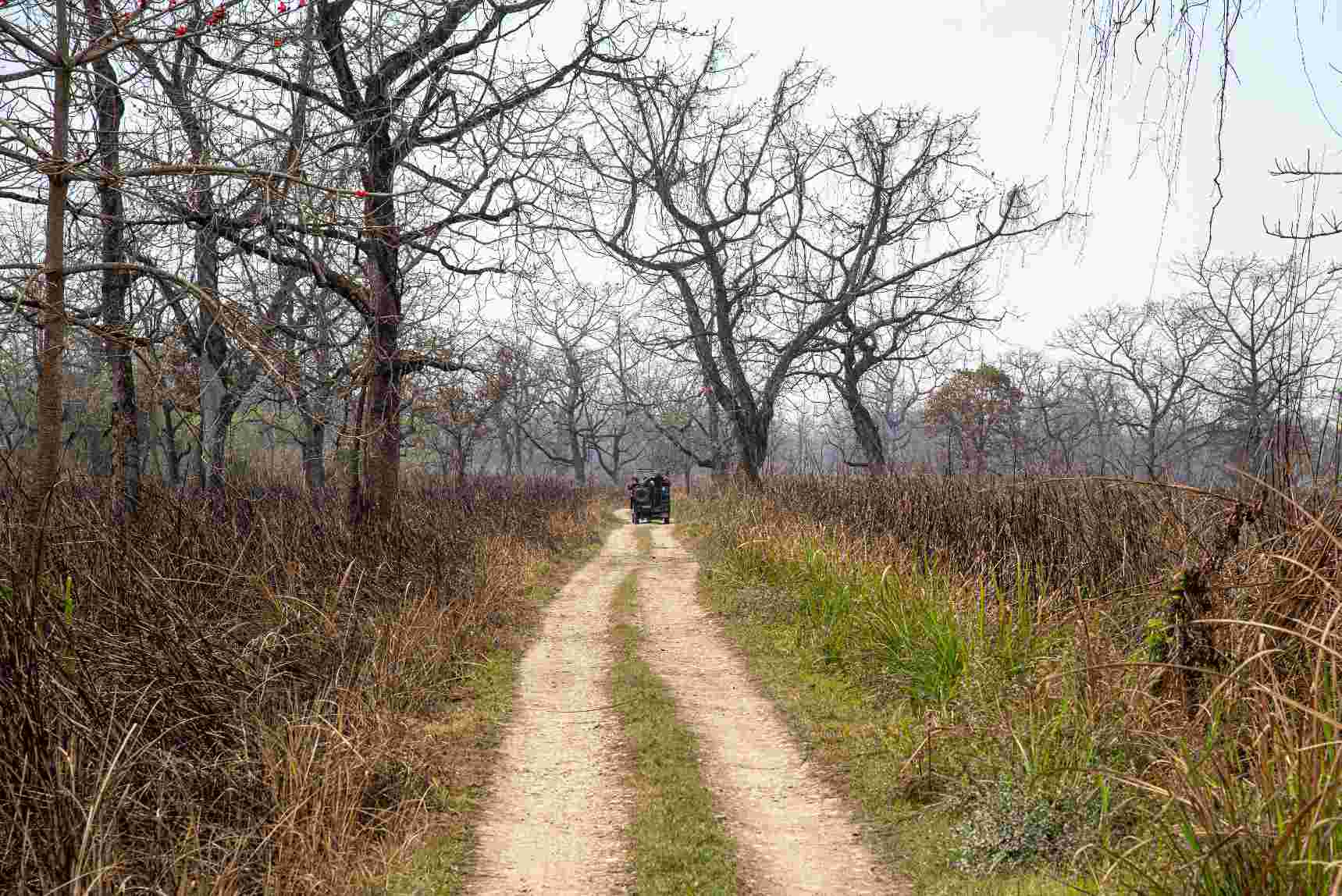 Bardiya Wilderness Experience – 4 Days 3