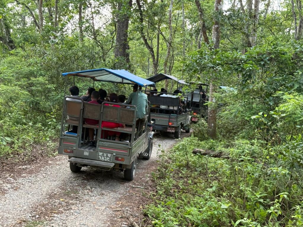 Chitwan Jungle Stay 4 Days 5