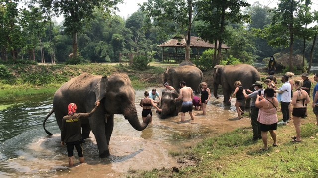Chitwan Wildlife & Nightlife Overland Tour – 4 Days 3