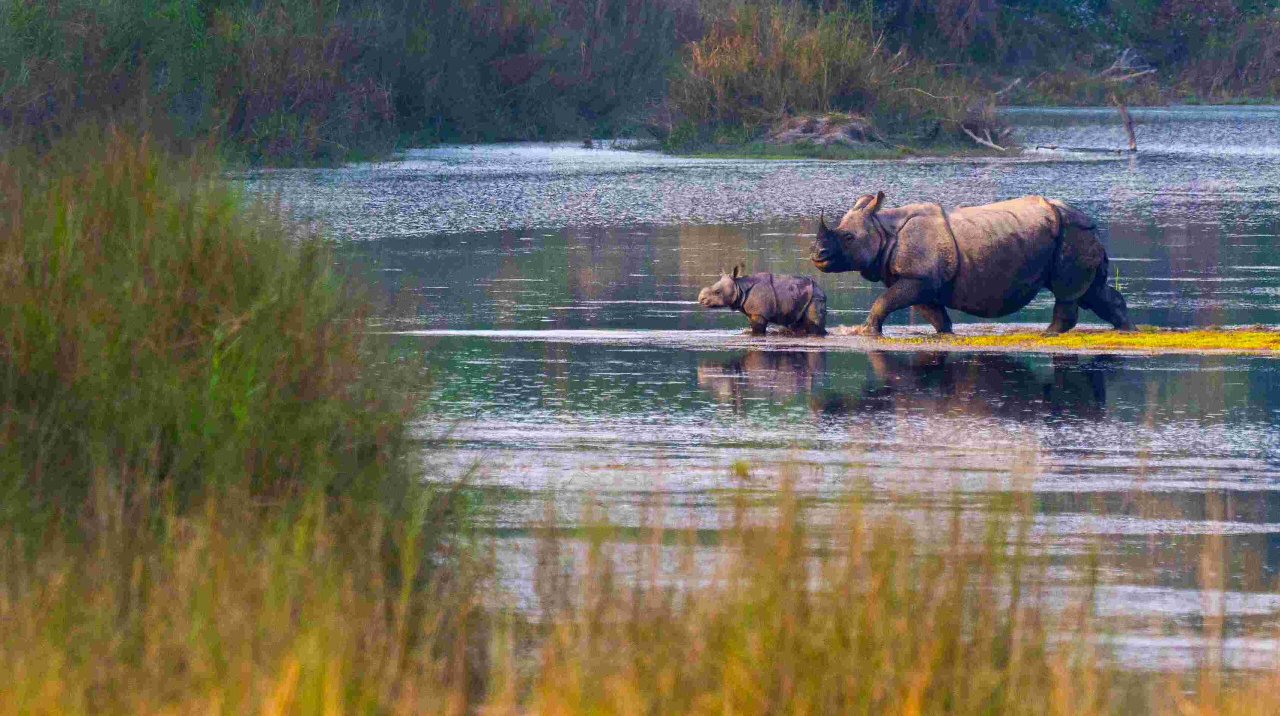 Chitwan Thrill & Wild Adventure – 4 Days 2