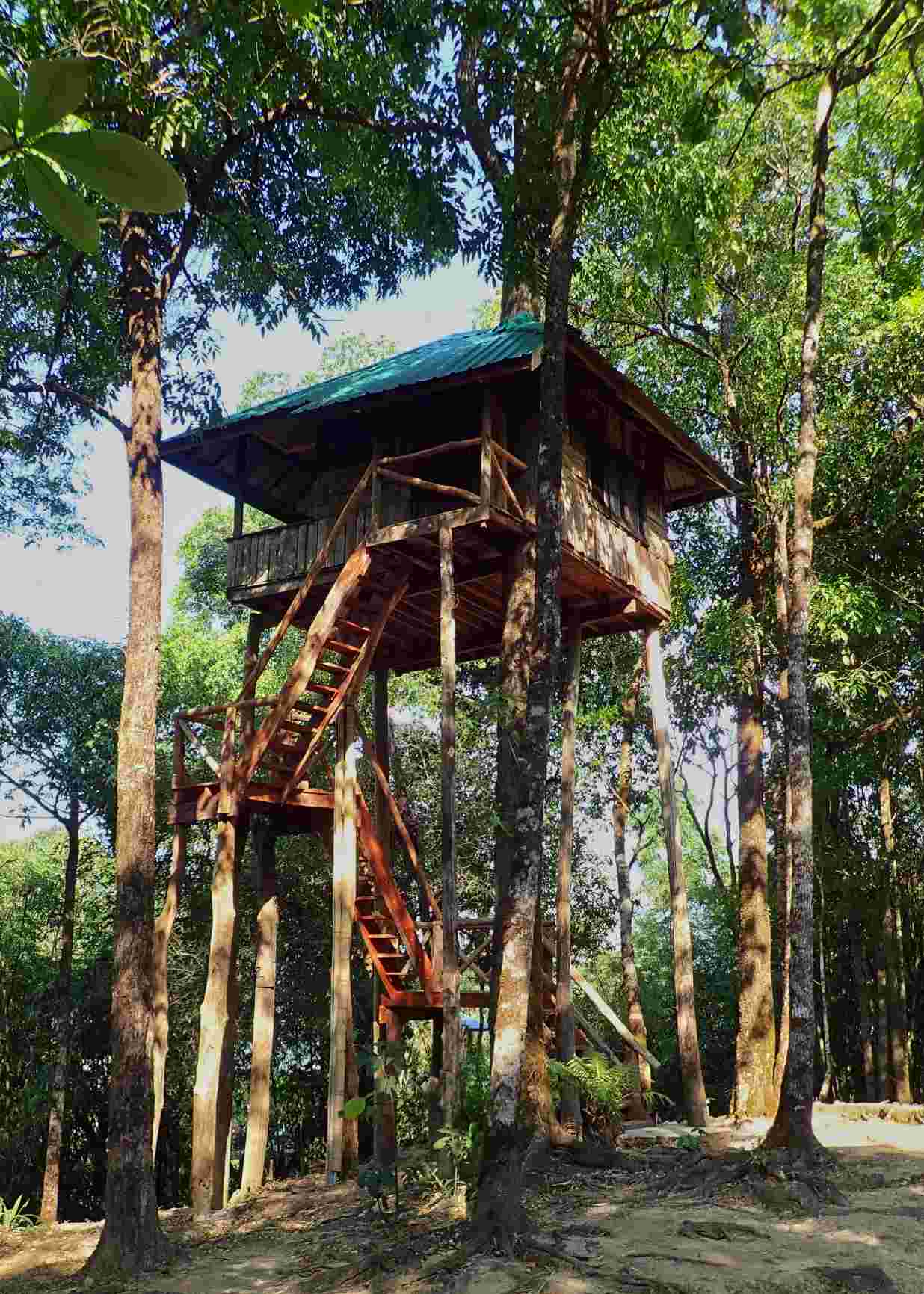 Chitwan Thrill & Wild Adventure – 4 Days 3