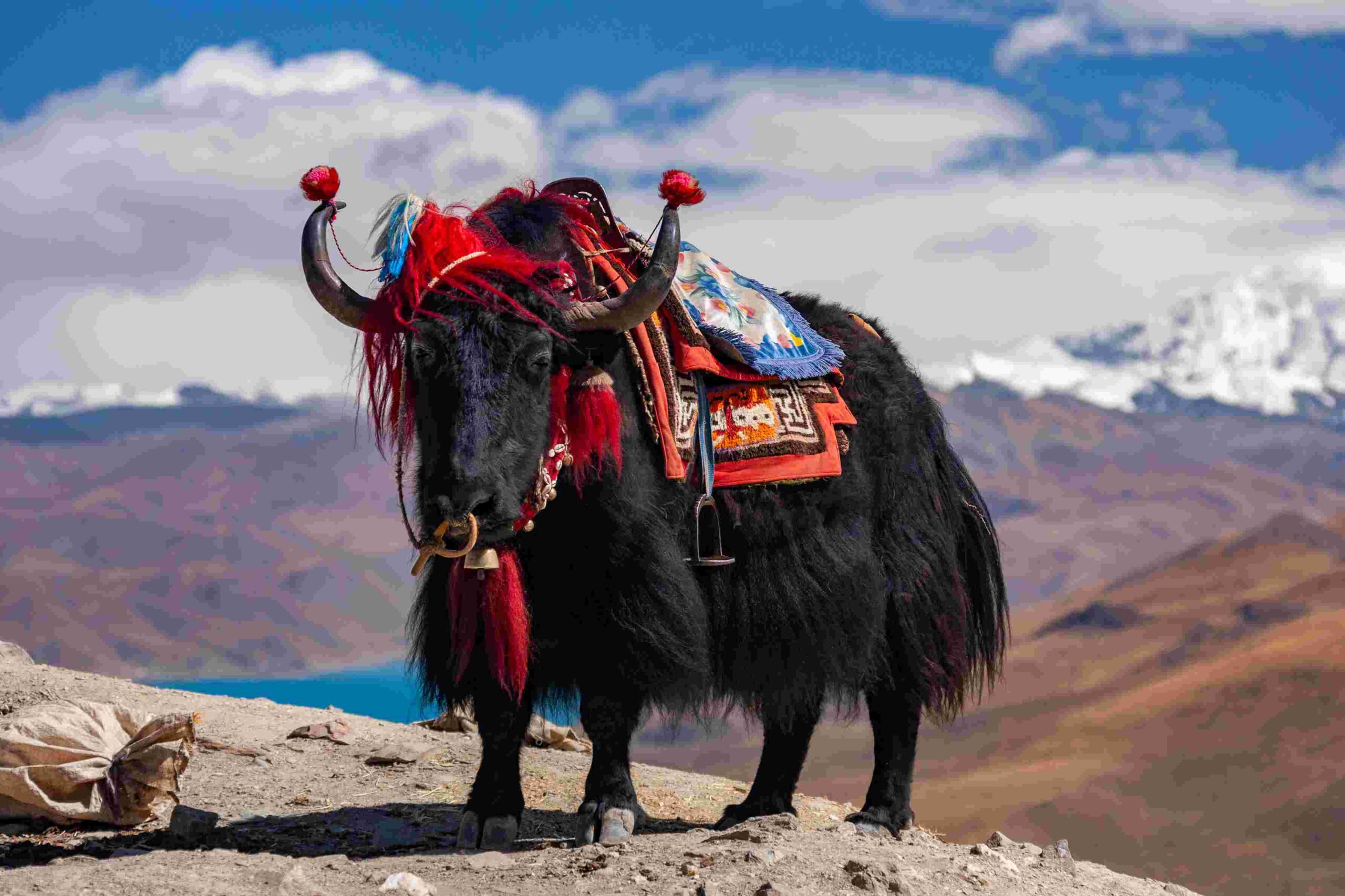 Quick Escape to Mustang By Road-5 Days 4