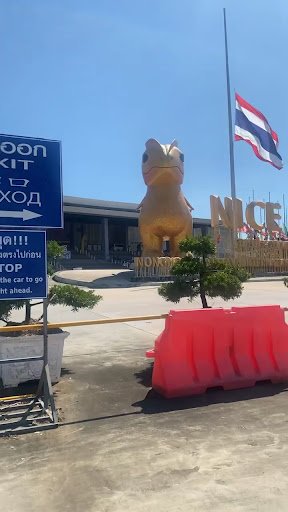 Photo from customer review