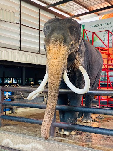 Photo from customer review