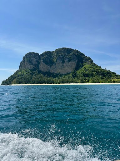 Photo from customer review