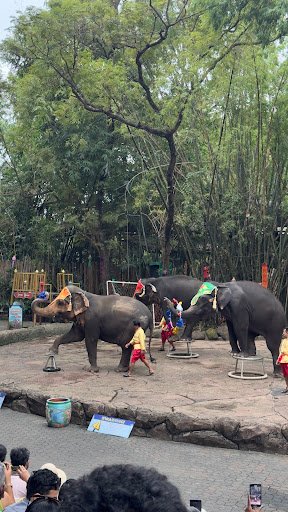 Photo from customer review