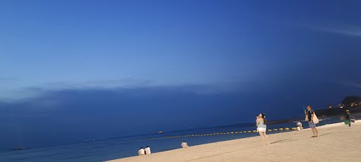 Photo from customer review