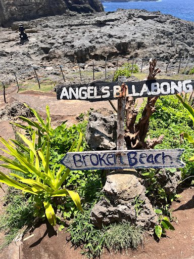 Photo from customer review