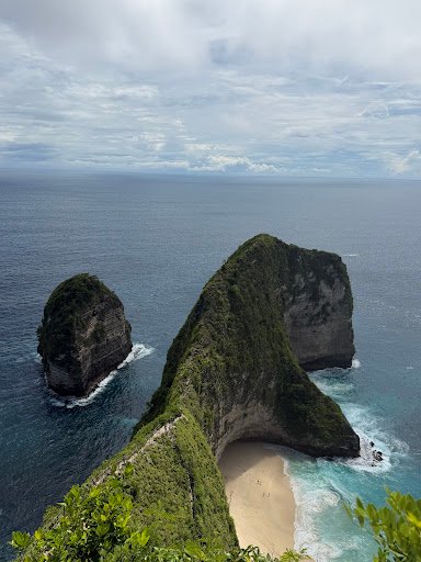 Photo from customer review