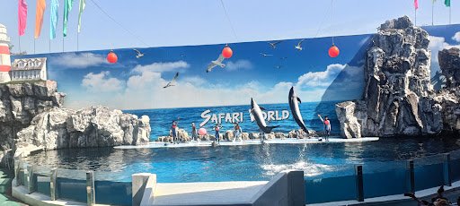 Photo from customer review