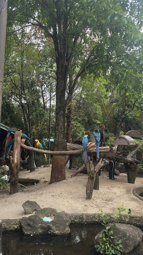 Photo from customer review