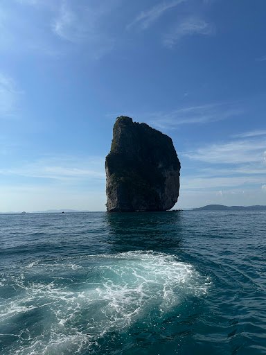 Photo from customer review