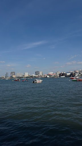 Photo from customer review