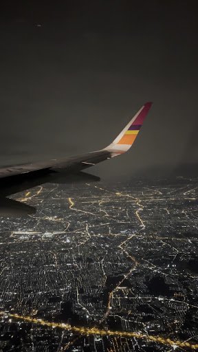 Photo from customer review